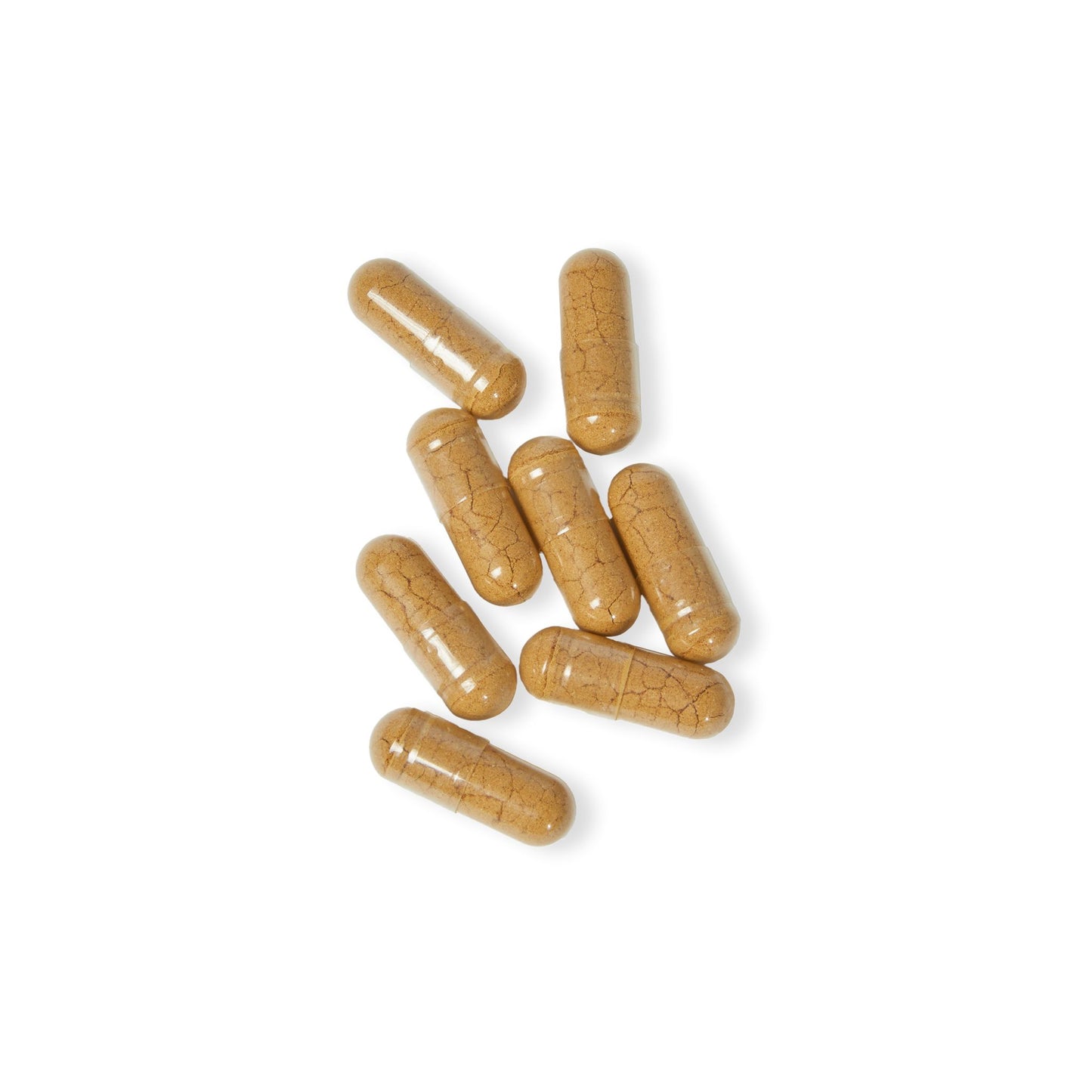 Mushroom Blend Supplement (60 Capsules) | Weary Night Collection