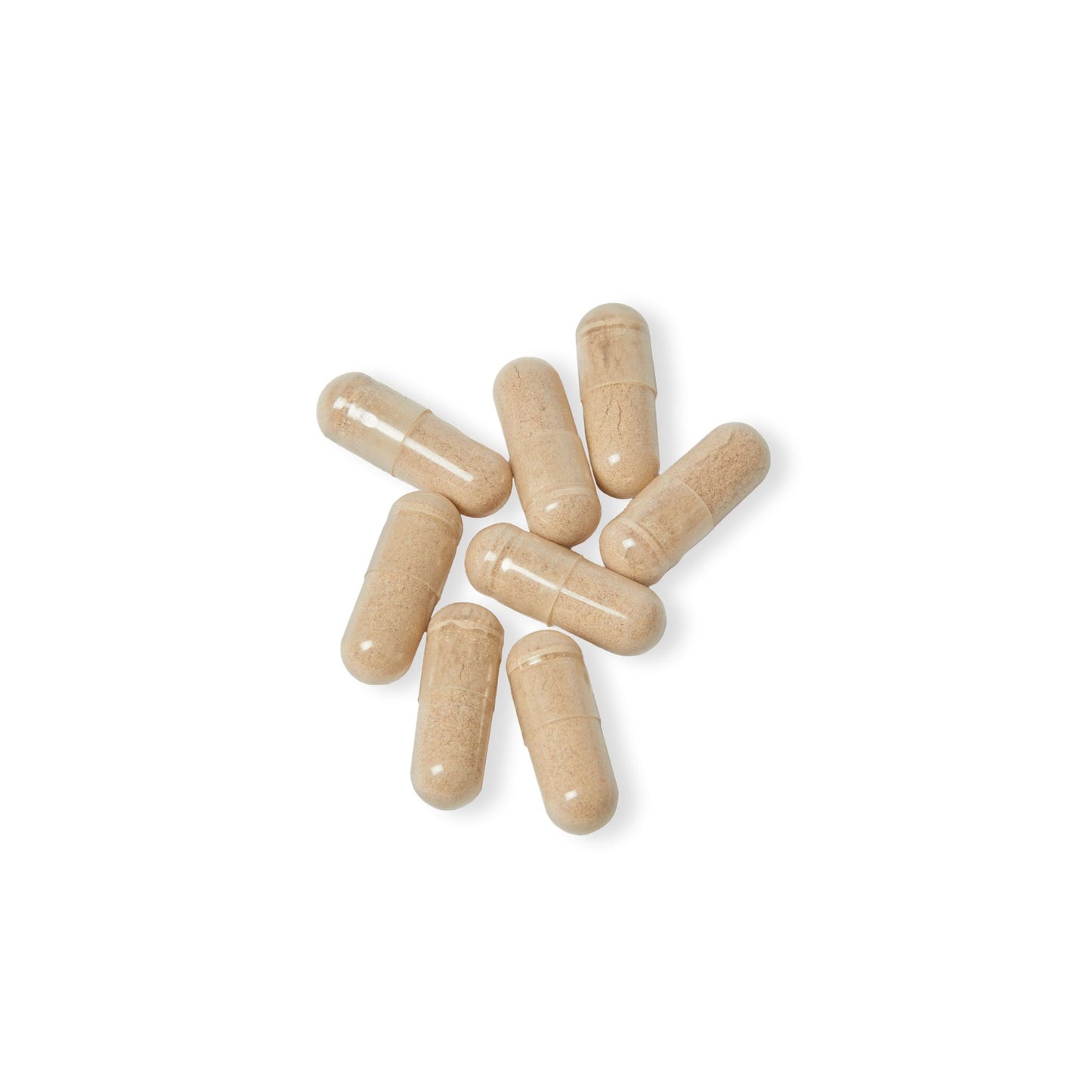 Brain Support Complex Supplement (60 Capsules) | Weary Night Collection